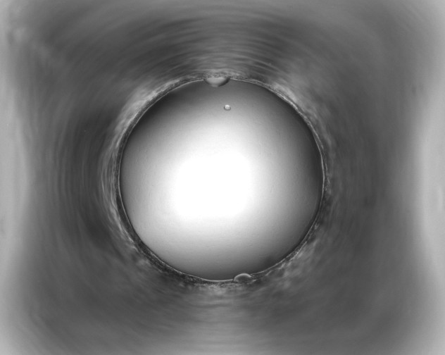 X0000086900241200704301022