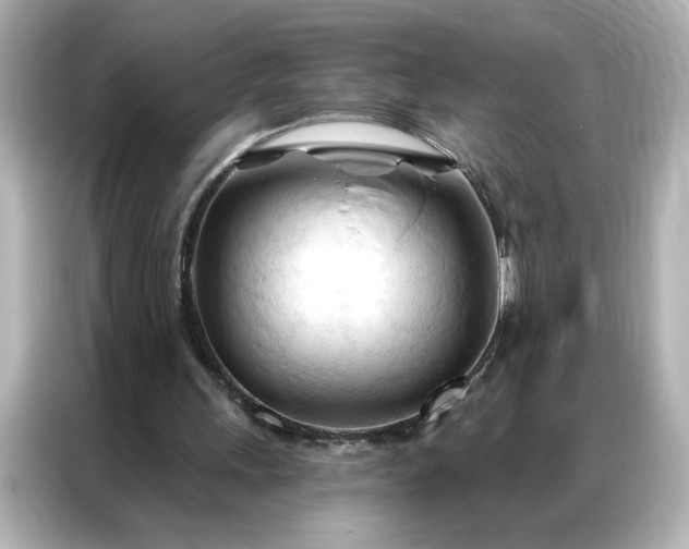 X0000086900243200704301022