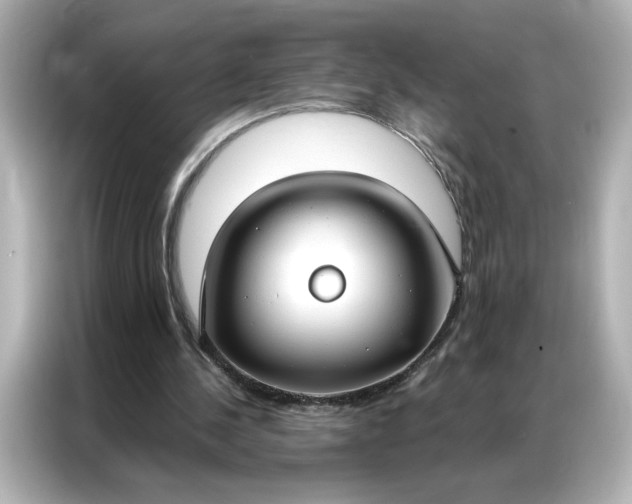 X0000086900244200704301022