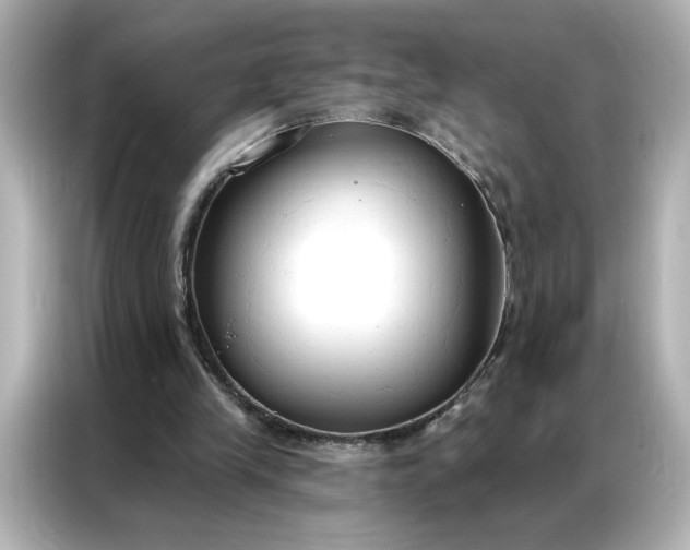 X0000086900245200704301022