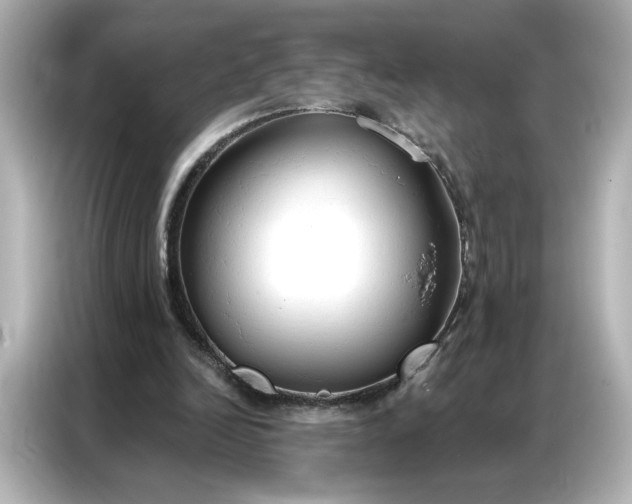 X0000086900246200704301023