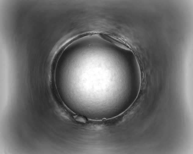 X0000086900247200704301023