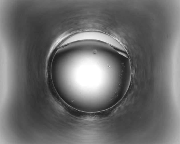 X0000086900248200704301023