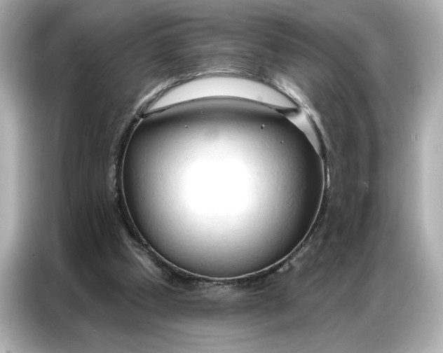 X0000086900249200704301023