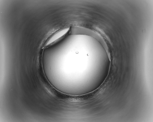 X0000086900250200704301023