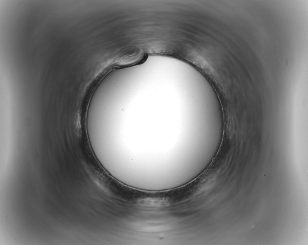 X0000086900251200704301023