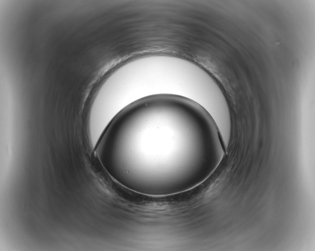 X0000086900252200704301023