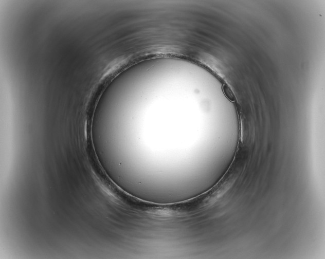 X0000086900253200704301023