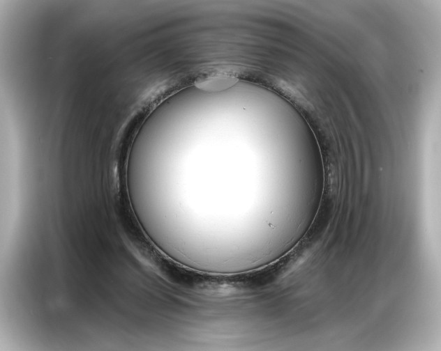 X0000086900254200704301023