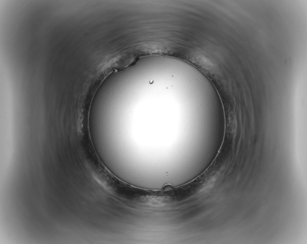 X0000086900255200704301023