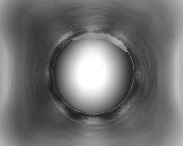 X0000086900256200704301023