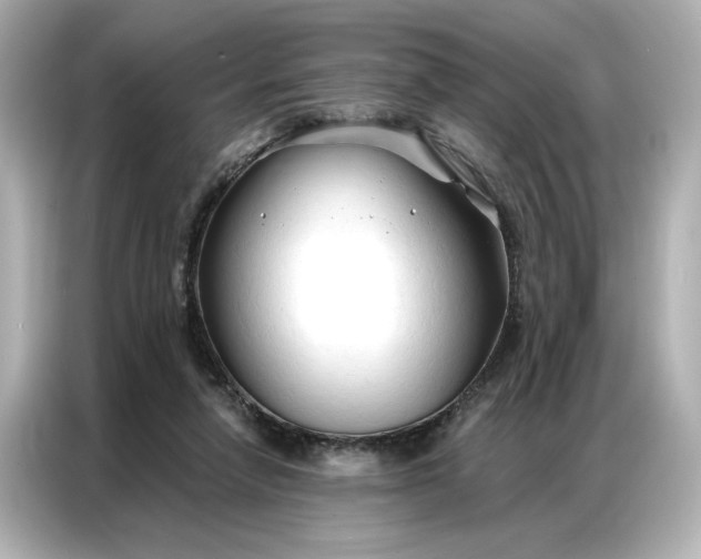 X0000086900258200704301023