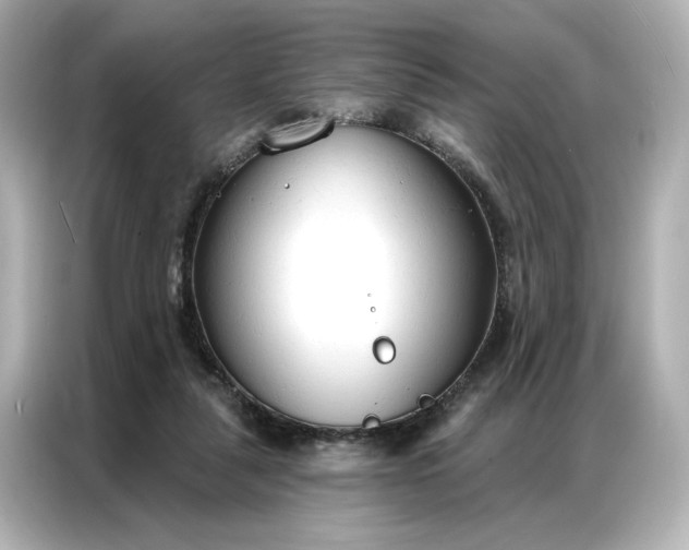 X0000086900259200704301023