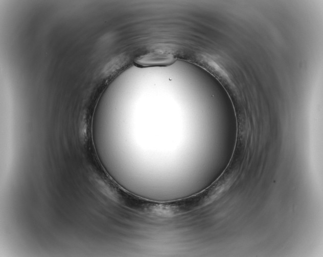 X0000086900261200704301023