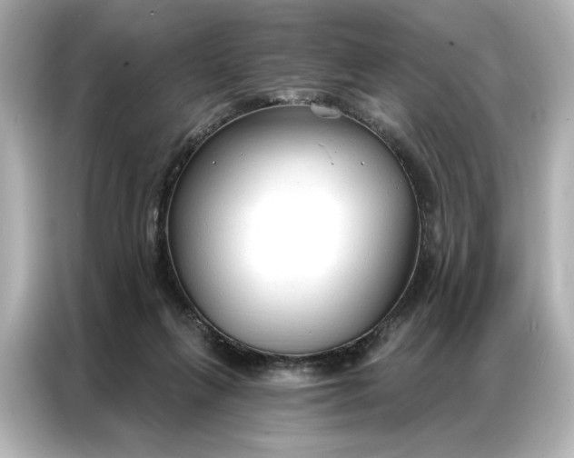 X0000086900263200704301023