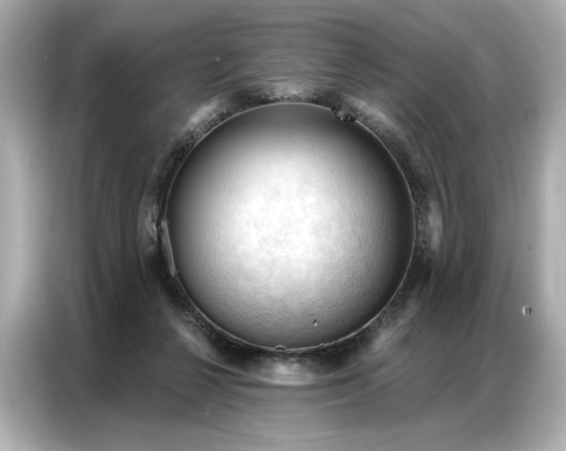 X0000086900264200704301023