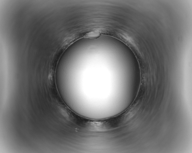 X0000086900265200704301023