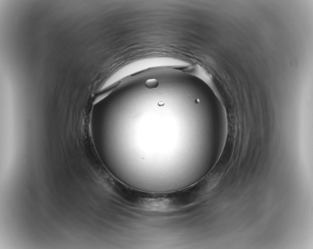 X0000086900266200704301023