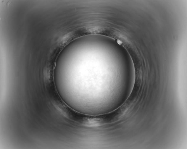 X0000086900268200704301023