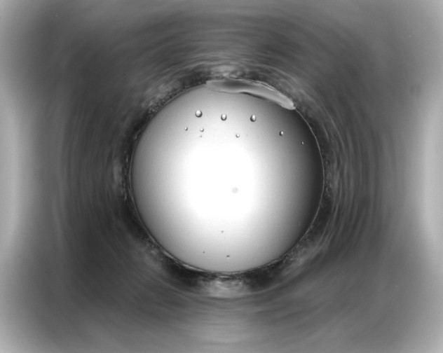 X0000086900270200704301023