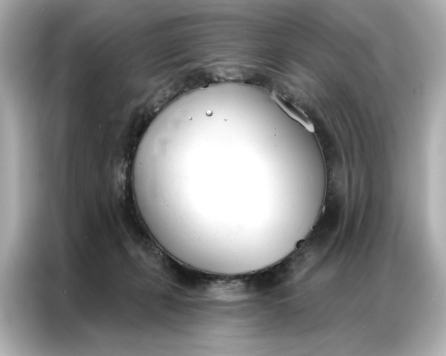 X0000086900271200704301023