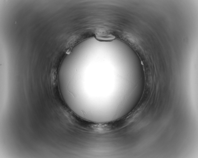 X0000086900273200704301023