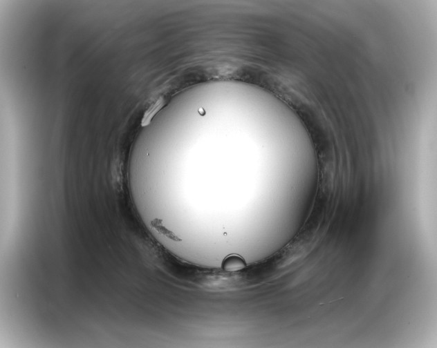 X0000086900274200704301023