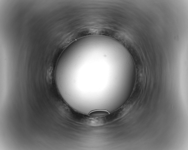 X0000086900275200704301023