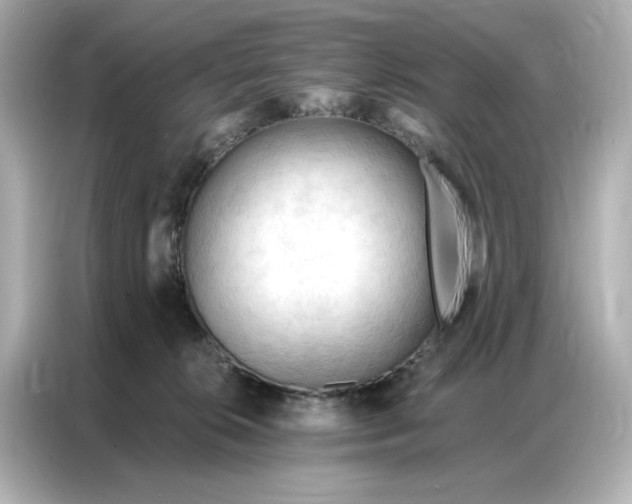 X0000086900276200704301023