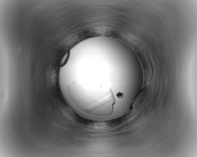 X0000086900279200704301023