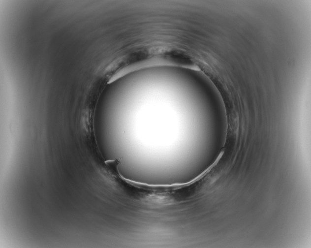 X0000086900280200704301023