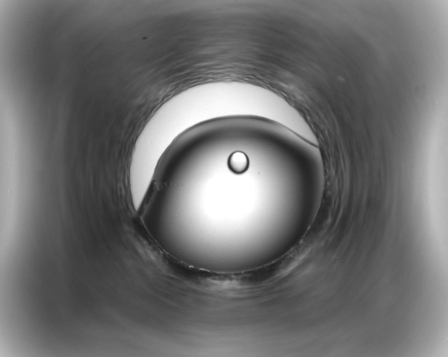 X0000086900284200704301023