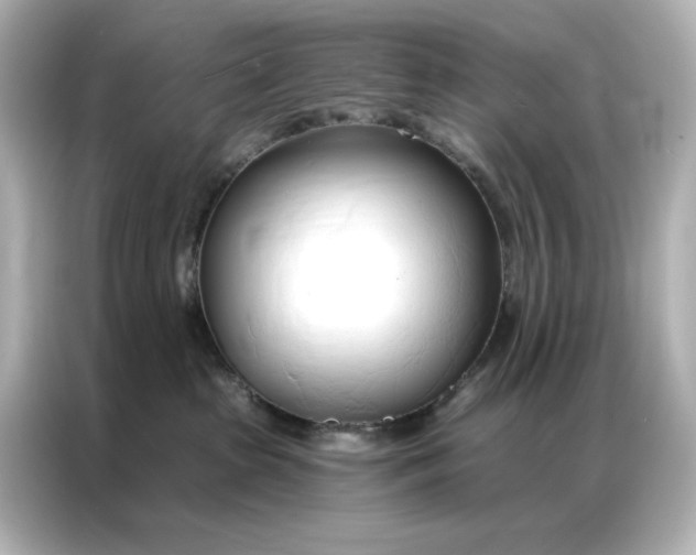 X0000086900285200704301023