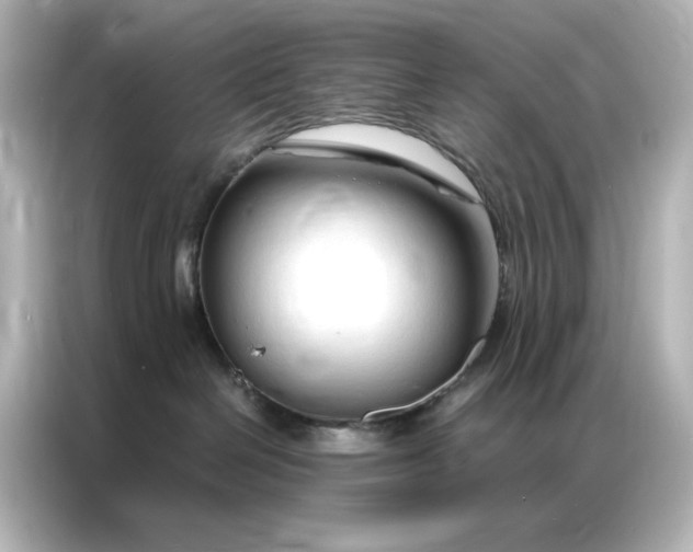 X0000086900286200704301023