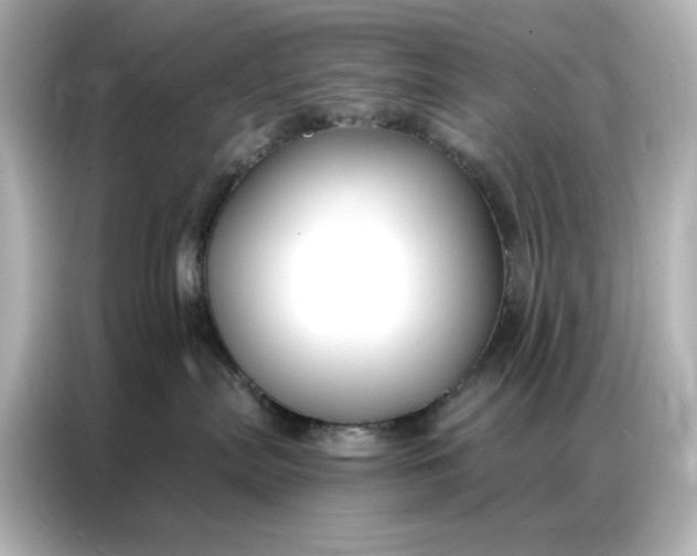 X0000086900287200704301023