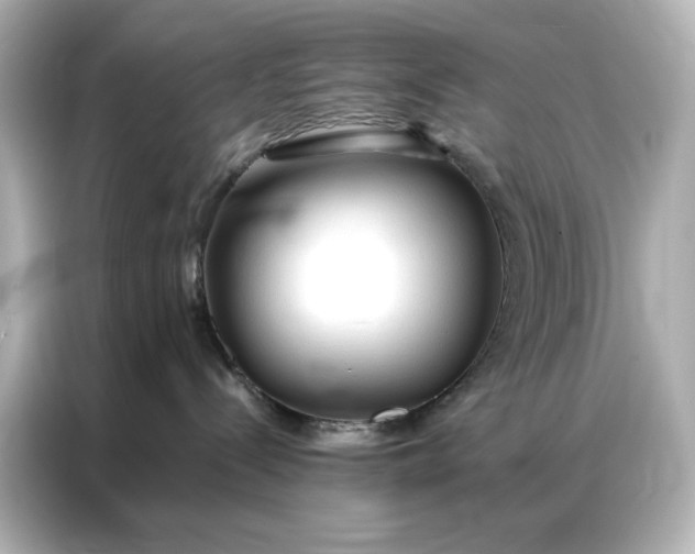 X0000086900288200704301023