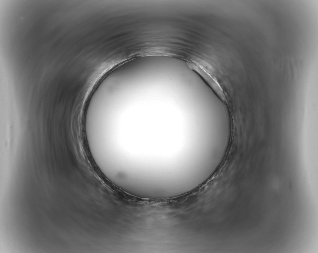 X0000086900289200704301022