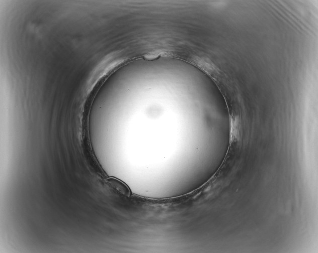 X0000086900291200704301022