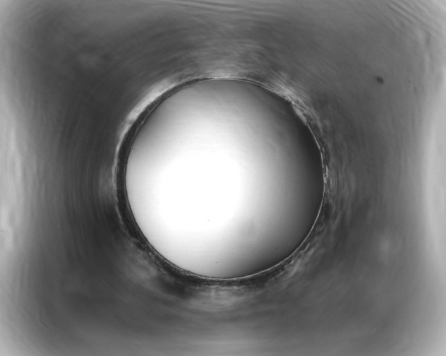 X0000086900292200704301022