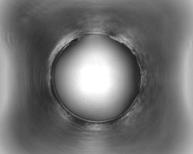 X0000086900293200704301022