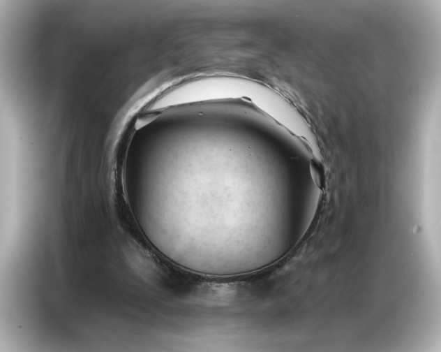 X0000086900295200704301022