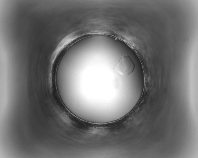 X0000086900296200704301022