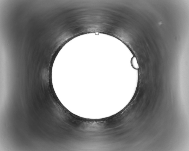 X0000086900297200704301022