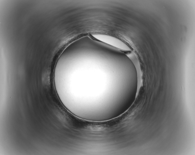 X0000086900299200704301022