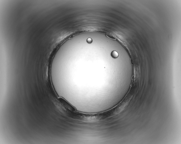 X0000086900301200704301022