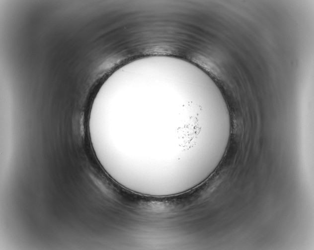 X0000086900302200704301022