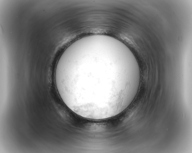 X0000086900303200704301022