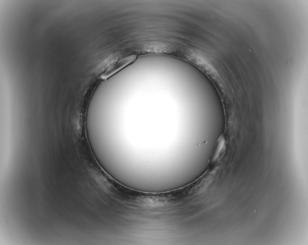 X0000086900305200704301022