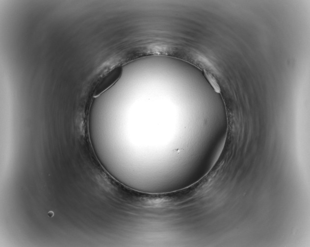 X0000086900313200704301022