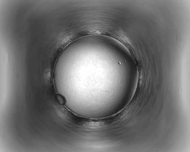 X0000086900314200704301022